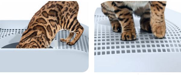 Frida tmavomodra foto